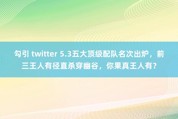勾引 twitter 5.3五大顶级配队名次出炉，前三王人有径直杀穿幽谷，你果真王人有？
