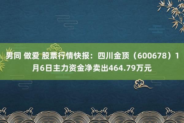 男同 做爱 股票行情快报：四川金顶（600678）1月6日主力资金净卖出464.79万元
