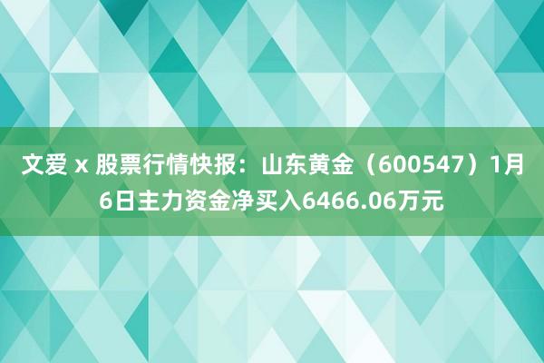 文爱 x 股票行情快报：山东黄金（600547）1月6日主力资金净买入6466.06万元