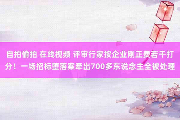 自拍偷拍 在线视频 评审行家按企业刚正费若干打分！一场招标堕落案牵出700多东说念主全被处理