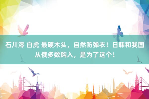 石川澪 白虎 最硬木头，自然防弹衣！日韩和我国从俄多数购入，是为了这个！