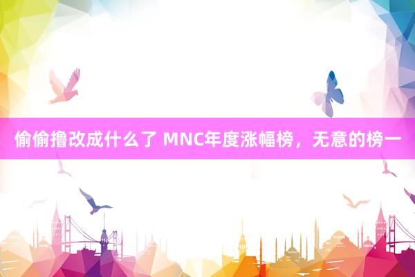 偷偷撸改成什么了 MNC年度涨幅榜，无意的榜一
