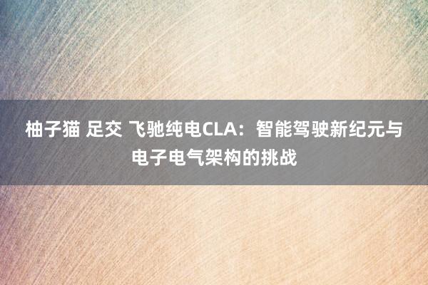 柚子猫 足交 飞驰纯电CLA：智能驾驶新纪元与电子电气架构的挑战