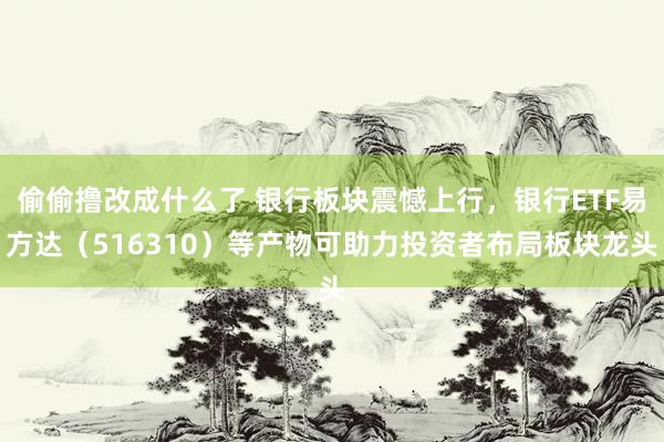 偷偷撸改成什么了 银行板块震憾上行，银行ETF易方达（516310）等产物可助力投资者布局板块龙头