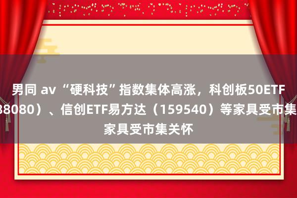 男同 av “硬科技”指数集体高涨，科创板50ETF（588080）、信创ETF易方达（159540）等家具受市集关怀