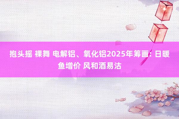 抱头摇 裸舞 电解铝、氧化铝2025年筹画: 日暖鱼增价 风和酒易沽