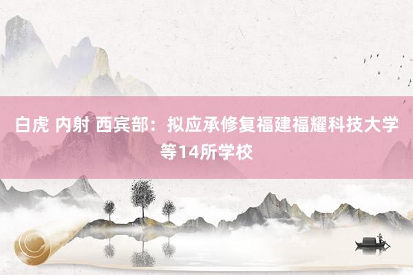 白虎 内射 西宾部：拟应承修复福建福耀科技大学等14所学校