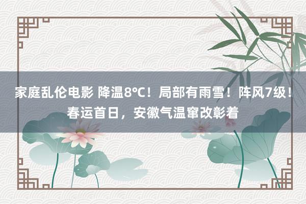 家庭乱伦电影 降温8℃！局部有雨雪！阵风7级！春运首日，安徽气温窜改彰着