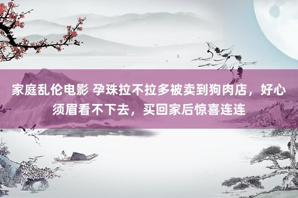 家庭乱伦电影 孕珠拉不拉多被卖到狗肉店，好心须眉看不下去，买回家后惊喜连连