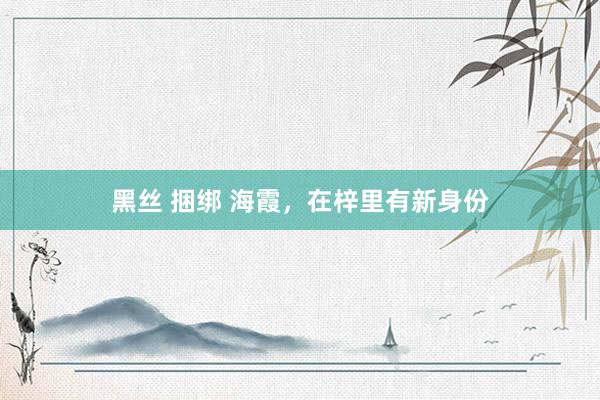 黑丝 捆绑 海霞，在梓里有新身份