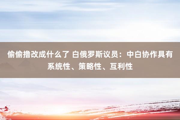 偷偷撸改成什么了 白俄罗斯议员：中白协作具有系统性、策略性、互利性