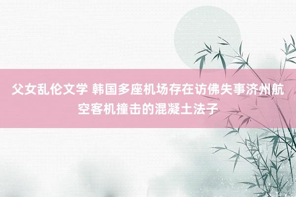 父女乱伦文学 韩国多座机场存在访佛失事济州航空客机撞击的混凝土法子
