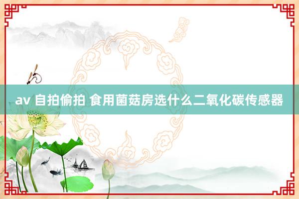 av 自拍偷拍 食用菌菇房选什么二氧化碳传感器