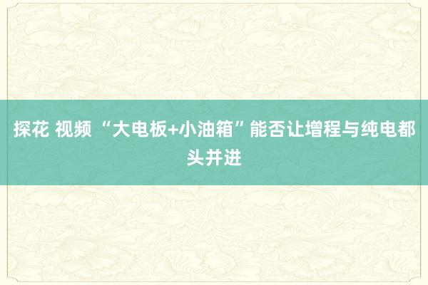 探花 视频 “大电板+小油箱”能否让增程与纯电都头并进