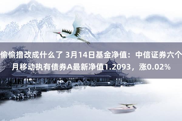 偷偷撸改成什么了 3月14日基金净值：中信证券六个月移动执有债券A最新净值1.2093，涨0.02%