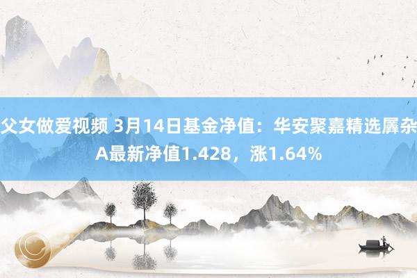 父女做爱视频 3月14日基金净值：华安聚嘉精选羼杂A最新净值1.428，涨1.64%