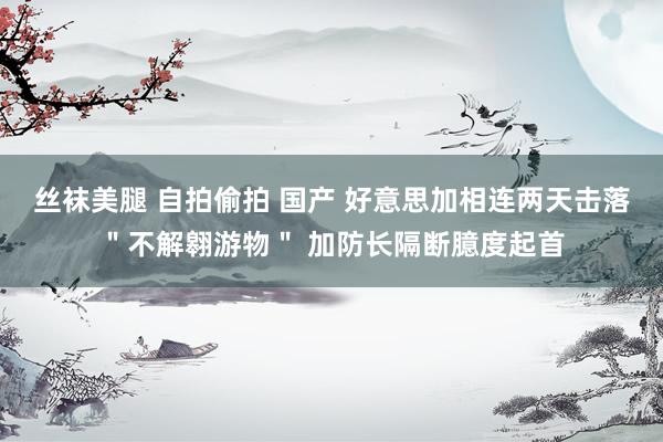 丝袜美腿 自拍偷拍 国产 好意思加相连两天击落＂不解翱游物＂ 加防长隔断臆度起首
