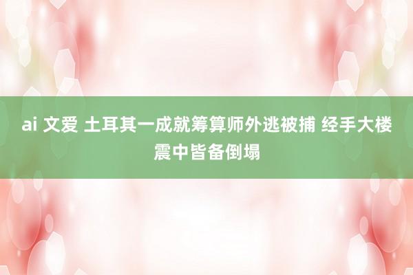 ai 文爱 土耳其一成就筹算师外逃被捕 经手大楼震中皆备倒塌