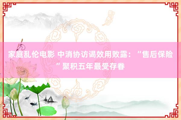 家庭乱伦电影 中消协访谒效用败露：“售后保险”聚积五年最受存眷