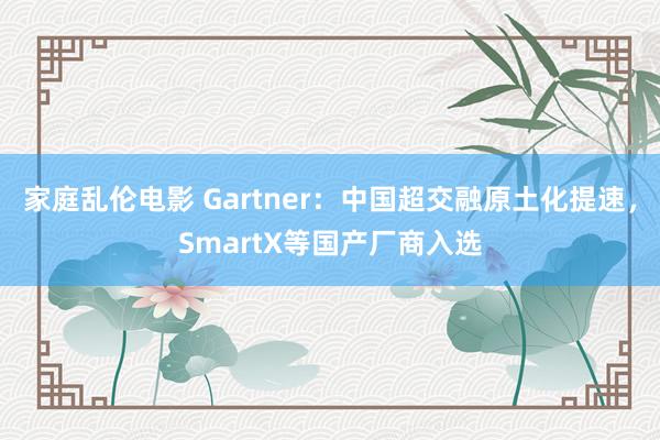 家庭乱伦电影 Gartner：中国超交融原土化提速，SmartX等国产厂商入选