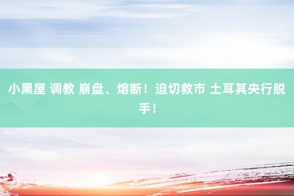 小黑屋 调教 崩盘、熔断！迫切救市 土耳其央行脱手！