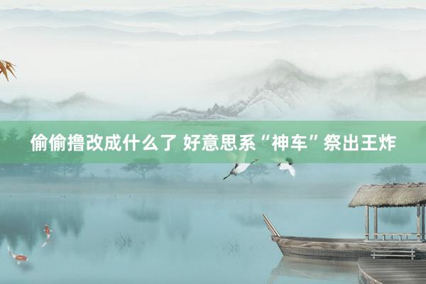 偷偷撸改成什么了 好意思系“神车”祭出王炸
