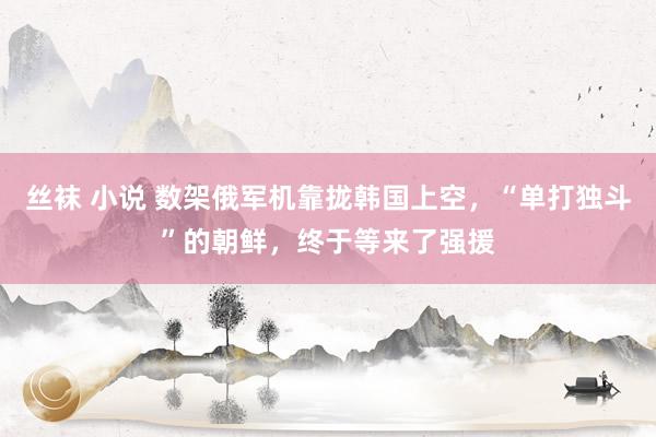 丝袜 小说 数架俄军机靠拢韩国上空，“单打独斗”的朝鲜，终于等来了强援