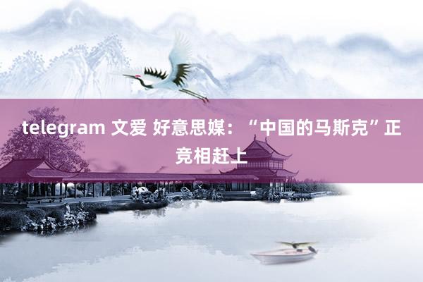 telegram 文爱 好意思媒：“中国的马斯克”正竞相赶上