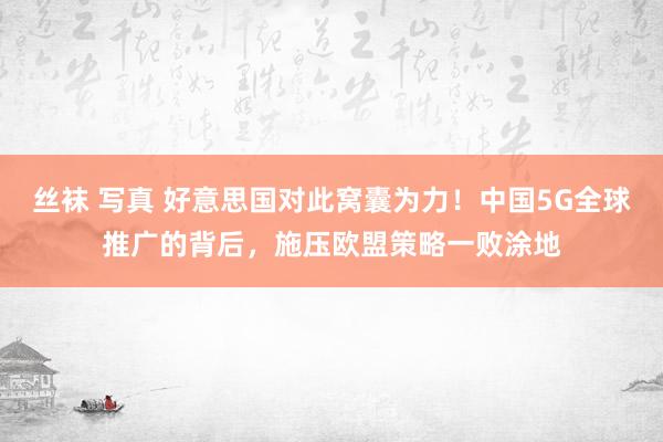 丝袜 写真 好意思国对此窝囊为力！中国5G全球推广的背后，施压欧盟策略一败涂地