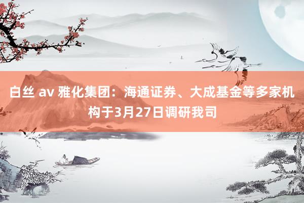 白丝 av 雅化集团：海通证券、大成基金等多家机构于3月27日调研我司