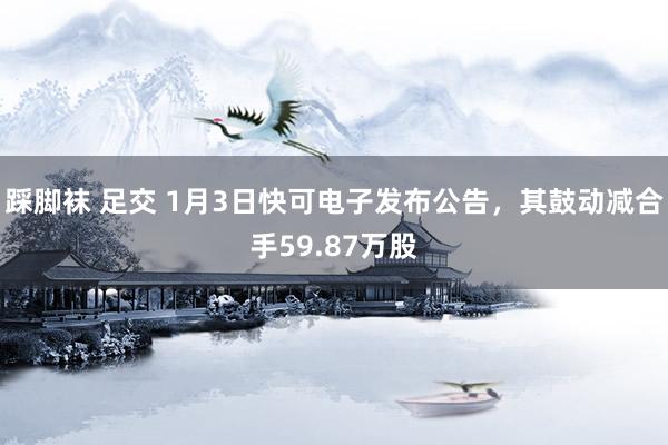 踩脚袜 足交 1月3日快可电子发布公告，其鼓动减合手59.87万股