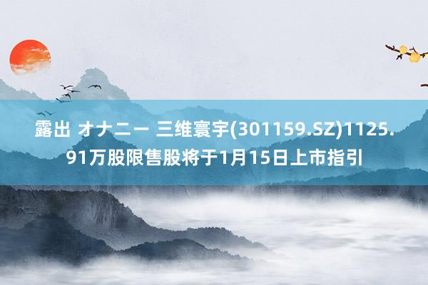露出 オナニー 三维寰宇(301159.SZ)1125.91万股限售股将于1月15日上市指引