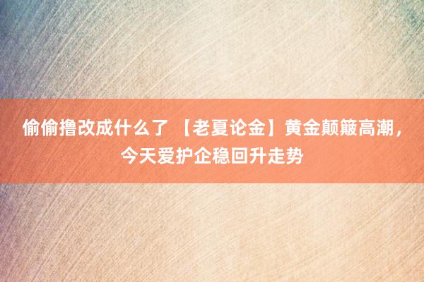 偷偷撸改成什么了 【老夏论金】黄金颠簸高潮，今天爱护企稳回升走势