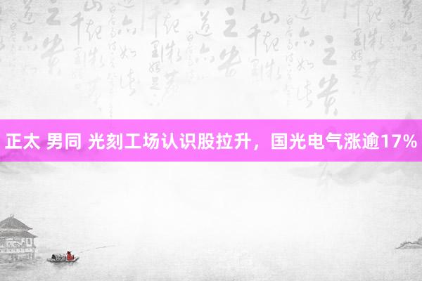正太 男同 光刻工场认识股拉升，国光电气涨逾17%