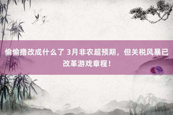 偷偷撸改成什么了 3月非农超预期，但关税风暴已改革游戏章程！