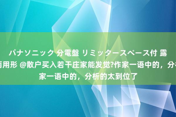 パナソニック 分電盤 リミッタースペース付 露出・半埋込両用形 @散户买入若干庄家能发觉?作家一语中的，分析的太到位了