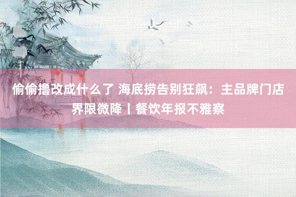 偷偷撸改成什么了 海底捞告别狂飙：主品牌门店界限微降丨餐饮年报不雅察