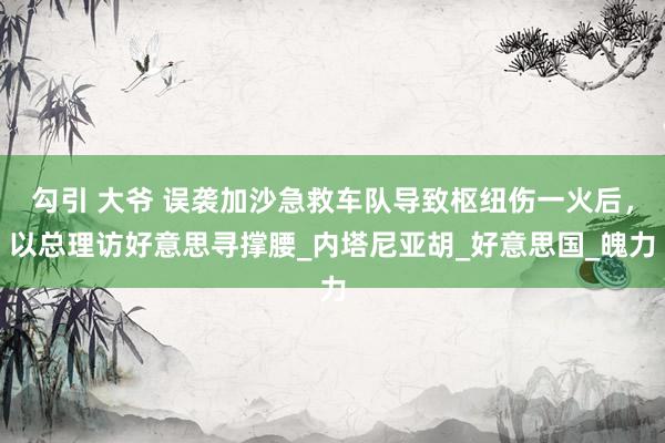 勾引 大爷 误袭加沙急救车队导致枢纽伤一火后，以总理访好意思寻撑腰_内塔尼亚胡_好意思国_魄力