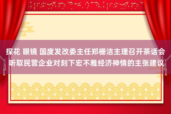 探花 眼镜 国度发改委主任郑栅洁主理召开茶话会 听取民营企业对刻下宏不雅经济神情的主张建议