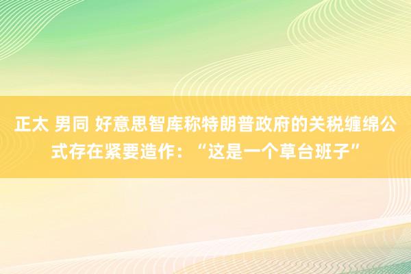 正太 男同 好意思智库称特朗普政府的关税缠绵公式存在紧要造作：“这是一个草台班子”