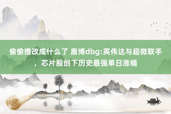 偷偷撸改成什么了 盾博dbg:英伟达与超微联手，芯片股创下历史最强单日涨幅