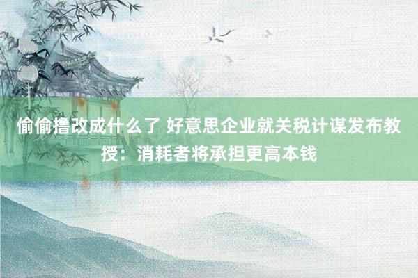 偷偷撸改成什么了 好意思企业就关税计谋发布教授：消耗者将承担更高本钱