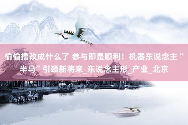 偷偷撸改成什么了 参与即是顺利！机器东说念主“半马”引颈新将来_东说念主形_产业_北京