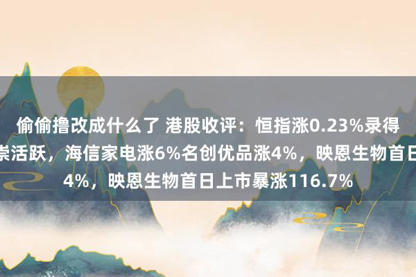 偷偷撸改成什么了 港股收评：恒指涨0.23%录得6连升，内需股推崇活跃，海信家电涨6%名创优品涨4%，映恩生物首日上市暴涨116.7%