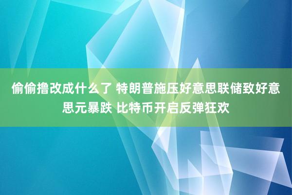 偷偷撸改成什么了 特朗普施压好意思联储致好意思元暴跌 比特币开启反弹狂欢