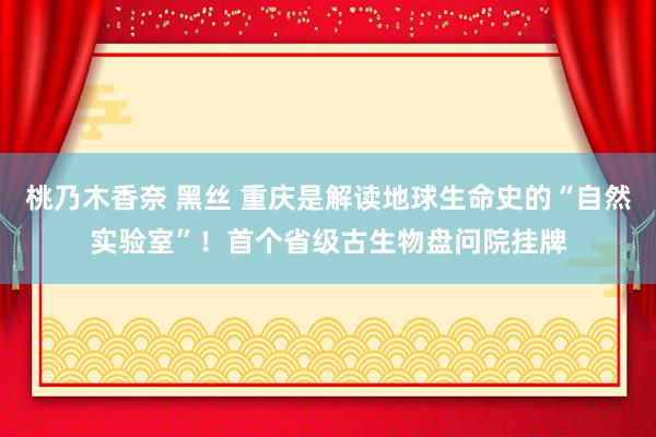 桃乃木香奈 黑丝 重庆是解读地球生命史的“自然实验室”！首个省级古生物盘问院挂牌