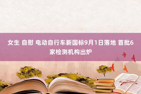 女生 自慰 电动自行车新国标9月1日落地 首批6家检测机构出炉