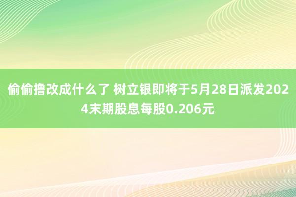 偷偷撸改成什么了 树立银即将于5月28日派发2024末期股息每股0.206元